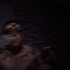 欧美性壮毛熊同性men
