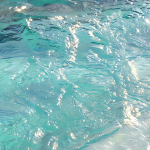 欧美性壮毛熊同性men
