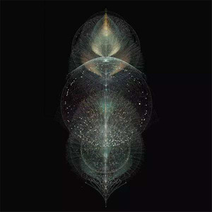 欧美性壮毛熊同性men
